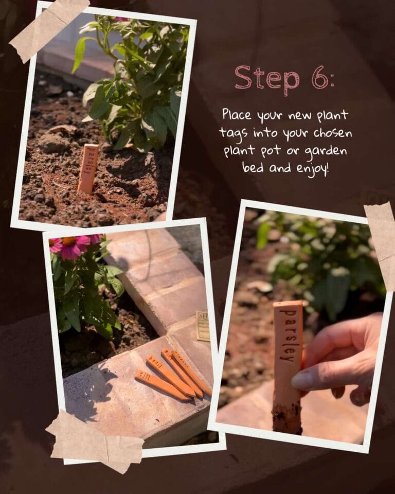 Terracotta Plant Tags - 8